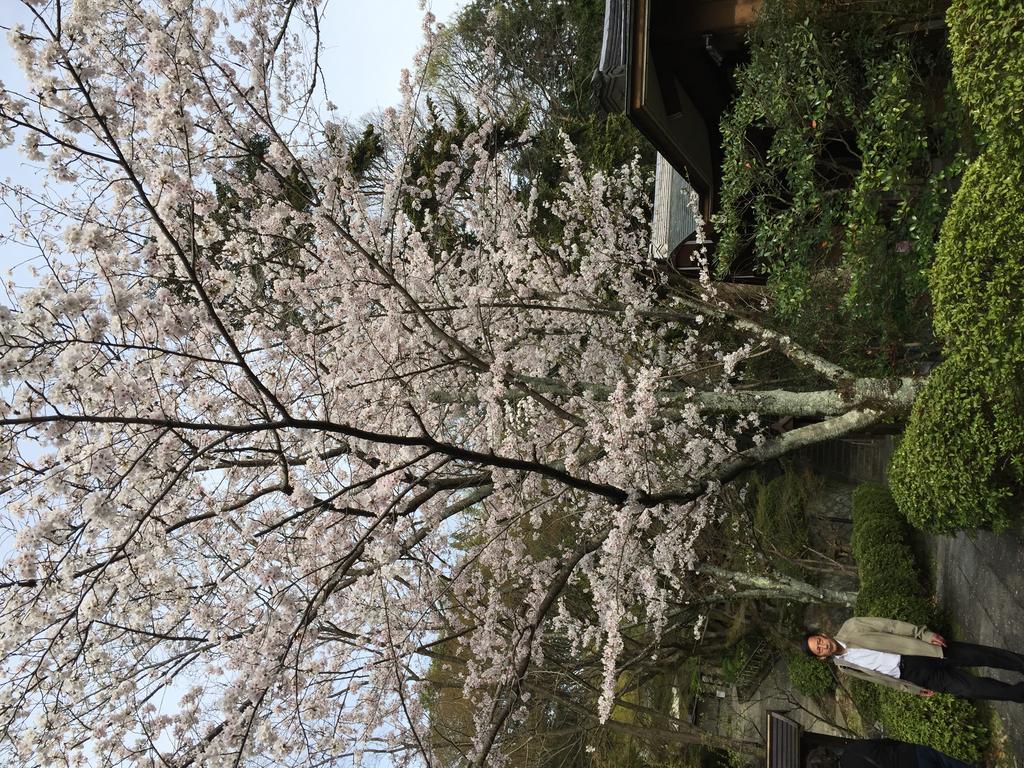 Ryokan Uemura Kyōto Exterior foto