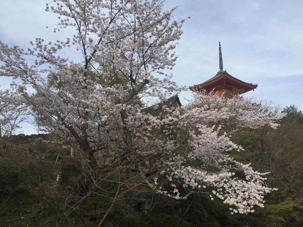 Ryokan Uemura Kyōto Exterior foto